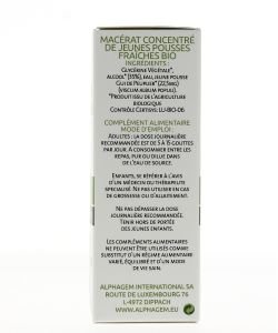 Gui de Peuplier (Viscum album populi) bourgeon unitaire BIO, 50 ml